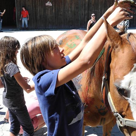 Espi-Stables Ferienhof Esterhammer Liebenau  Екстер'єр фото