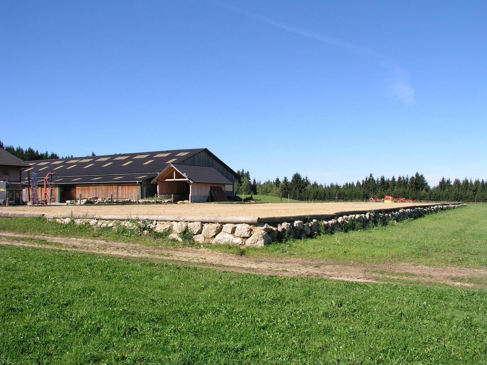 Espi-Stables Ferienhof Esterhammer Liebenau  Екстер'єр фото