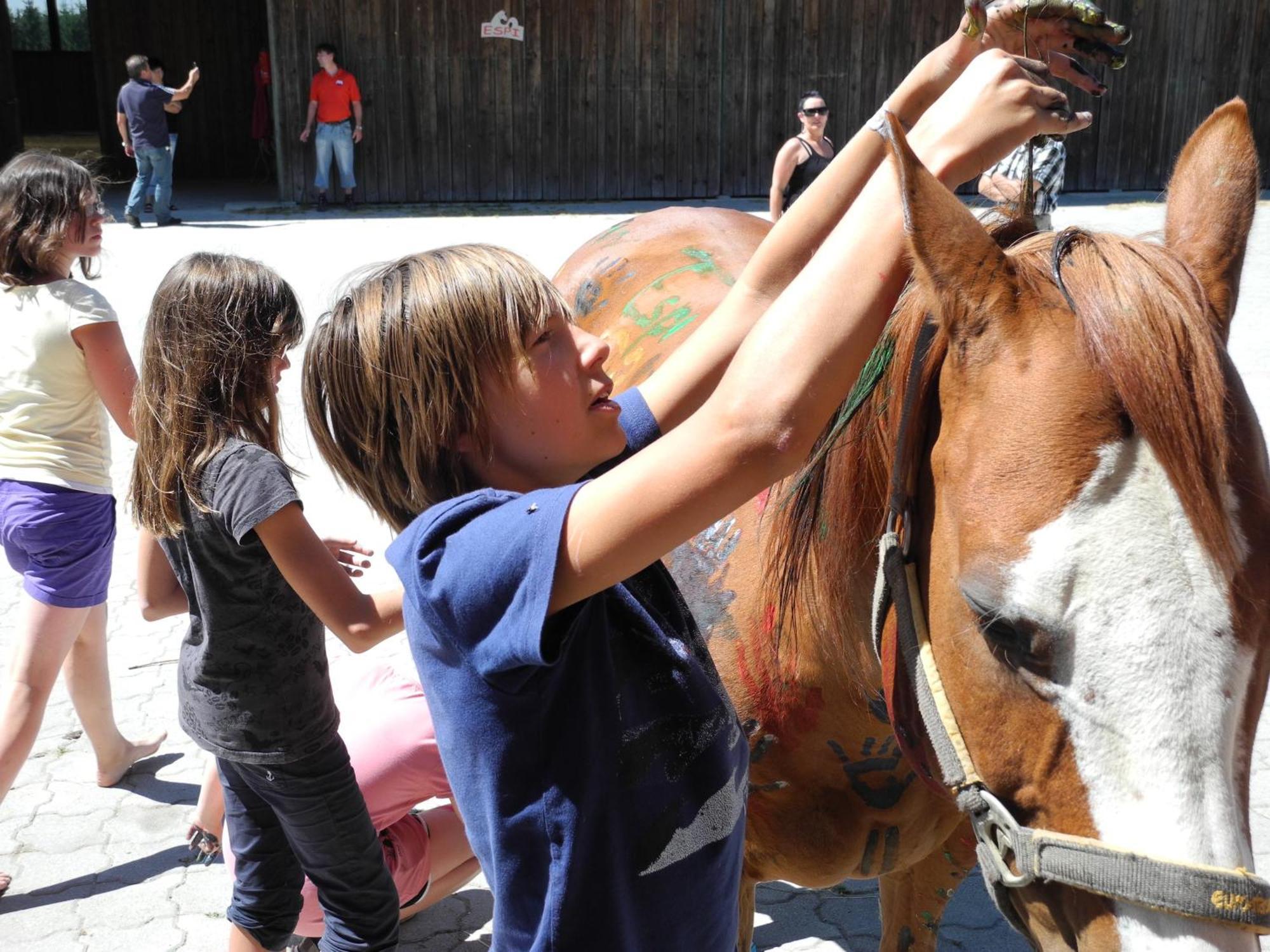 Espi-Stables Ferienhof Esterhammer Liebenau  Екстер'єр фото