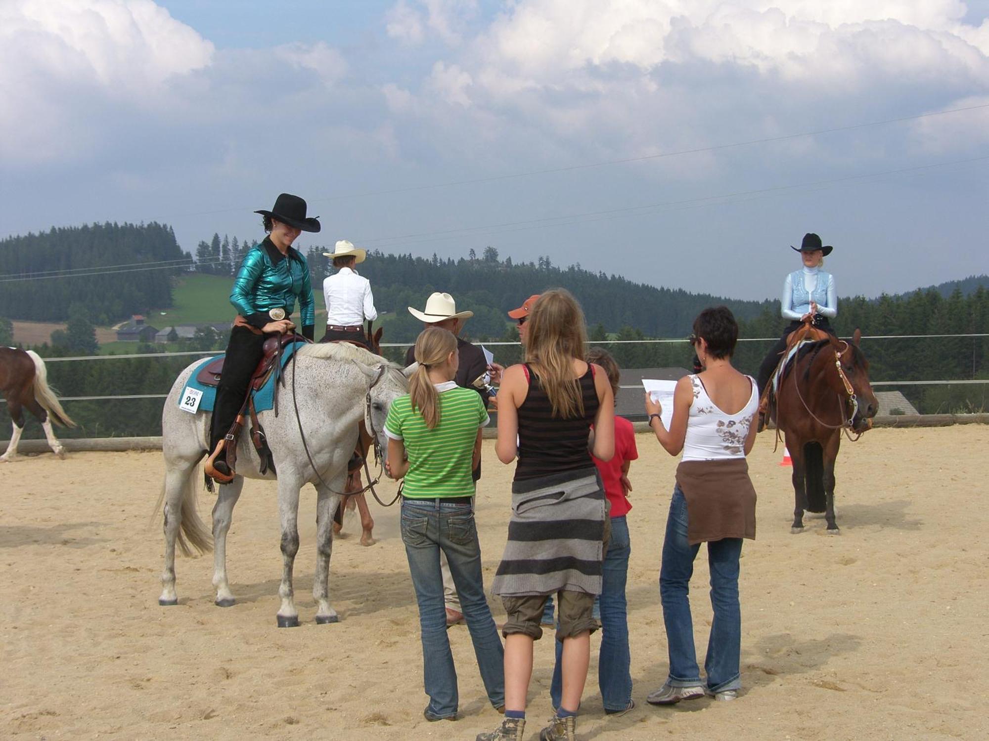 Espi-Stables Ferienhof Esterhammer Liebenau  Екстер'єр фото