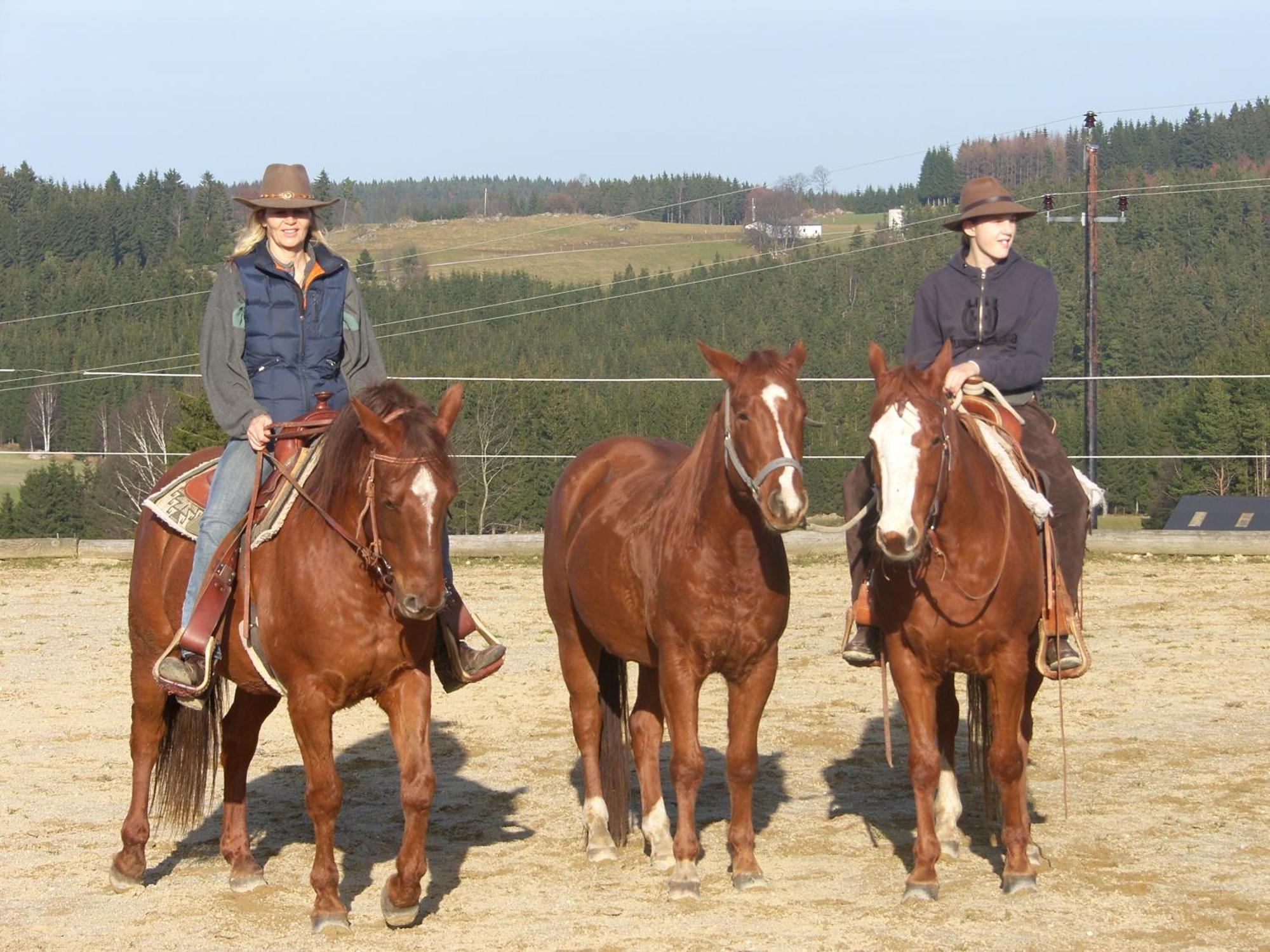Espi-Stables Ferienhof Esterhammer Liebenau  Екстер'єр фото