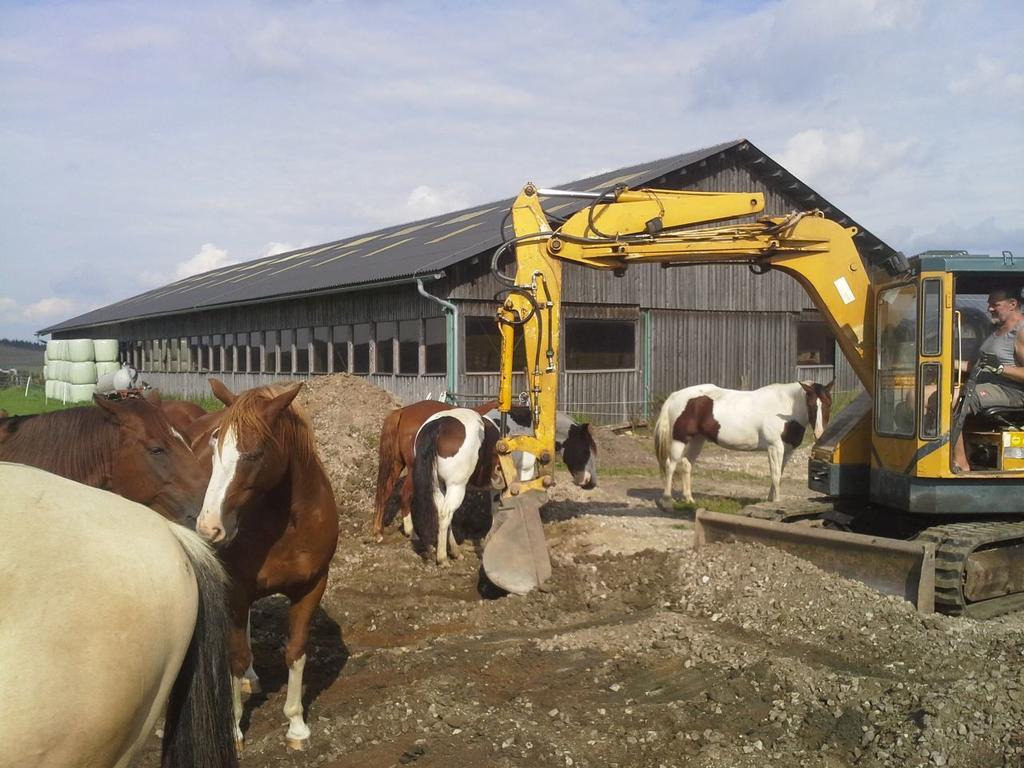 Espi-Stables Ferienhof Esterhammer Liebenau  Екстер'єр фото