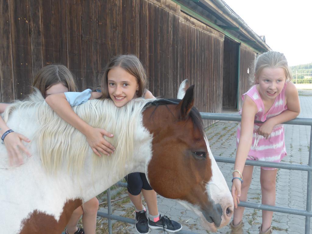 Espi-Stables Ferienhof Esterhammer Liebenau  Екстер'єр фото