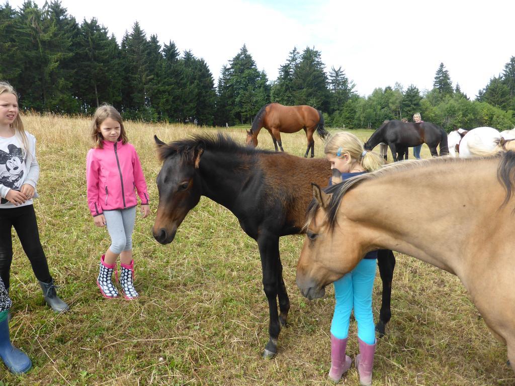 Espi-Stables Ferienhof Esterhammer Liebenau  Номер фото