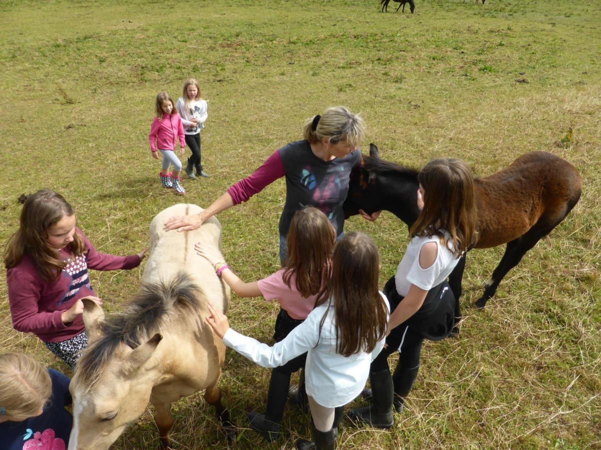Espi-Stables Ferienhof Esterhammer Liebenau  Екстер'єр фото