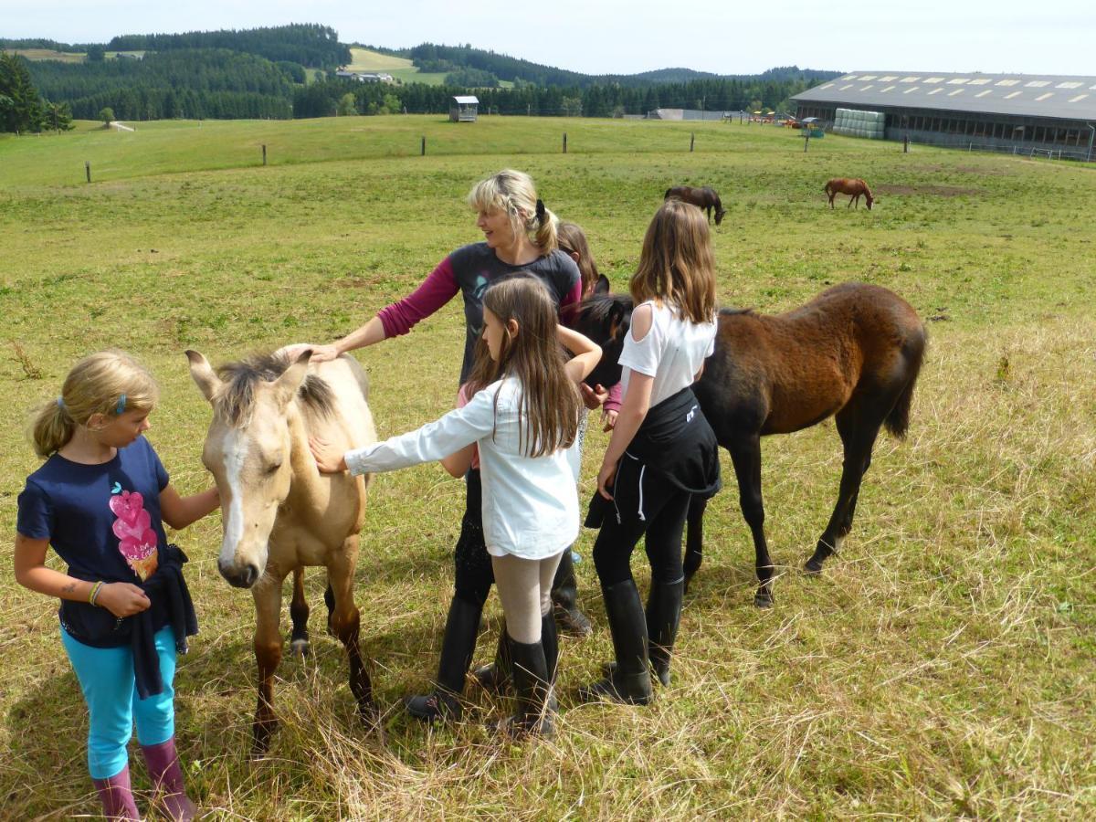Espi-Stables Ferienhof Esterhammer Liebenau  Екстер'єр фото